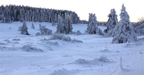 D Couverte Du Milieu Montagnard Enneig Sur Les Pas De Gaspard