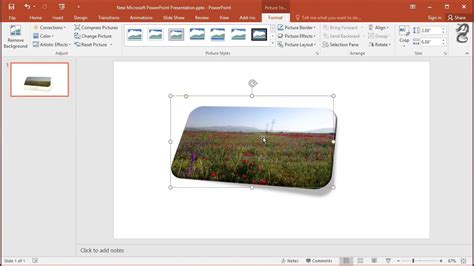 How To Apply Bevel Perspective To Image In PowerPoint YouTube