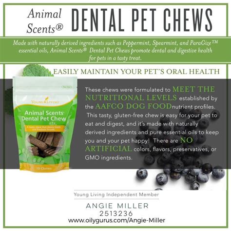 Pet Essentials Healthy Mouth For Dogs – Pets Reference