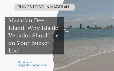 Mazatlan Deer Island: Why Isla de Venados Should be on Your Bucket List!