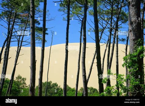 Dune du pilat Banque de photographies et dimages à haute résolution