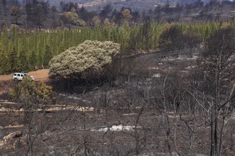 Humanidad sobrepasa cada vez más los límites planetarios Ahora