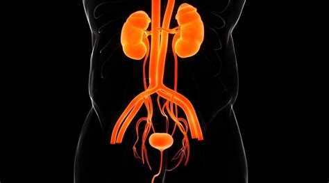 Understanding Urethritis and its symptoms, causes - AffluenceR