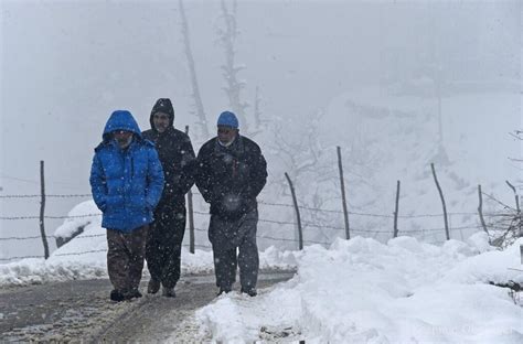 Fresh Snowfall In Parts Of Kashmir Kashmir Observer