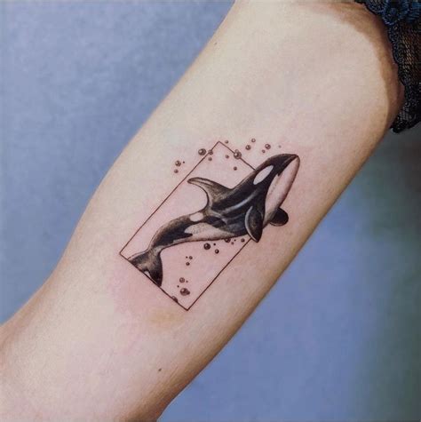 Discover Captivating Orca Tattoo Designs For Men In Artistic