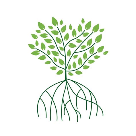 Premium Vector | Mangrove tree design vector flat isolated illustration