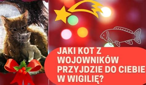 Jaki Kot Z Wojownik W Przyjdzie Do Ciebie W Wigili Samequizy