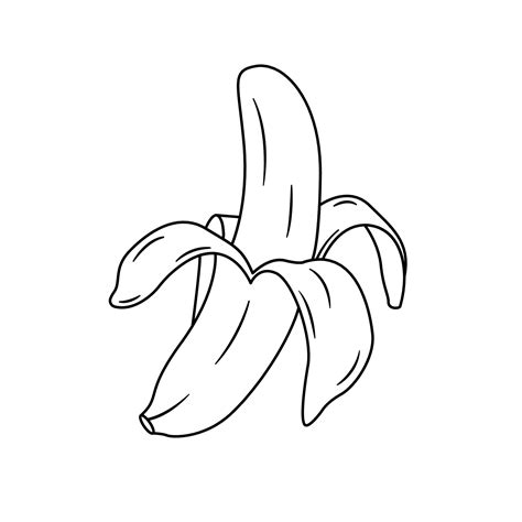 Banana Half Peeled Outline Icon on White Background 5622850 Vector Art ...