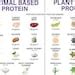 Plant Based Protein Vs Animal Based Protein Chart High Protein Meal ...