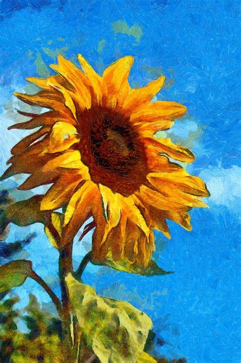 Painted Sunflower Digital Art By Scott Carruthers Fine Art America