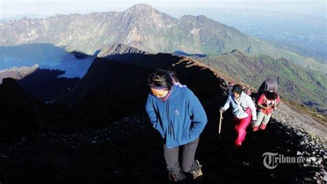 Agar Selamat Sampai Puncak Ini Tips Mendaki Gunung Bagi Pemula Yang