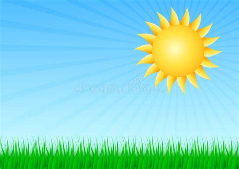 Sun With Grass Stock Illustration Image 41411672