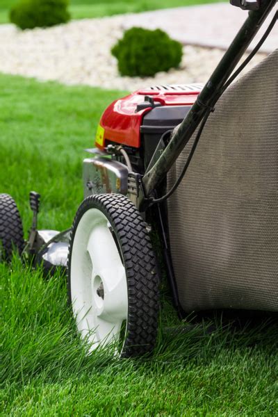 7 Simple Secrets To A Great Lawn Without Using Chemicals Sprays