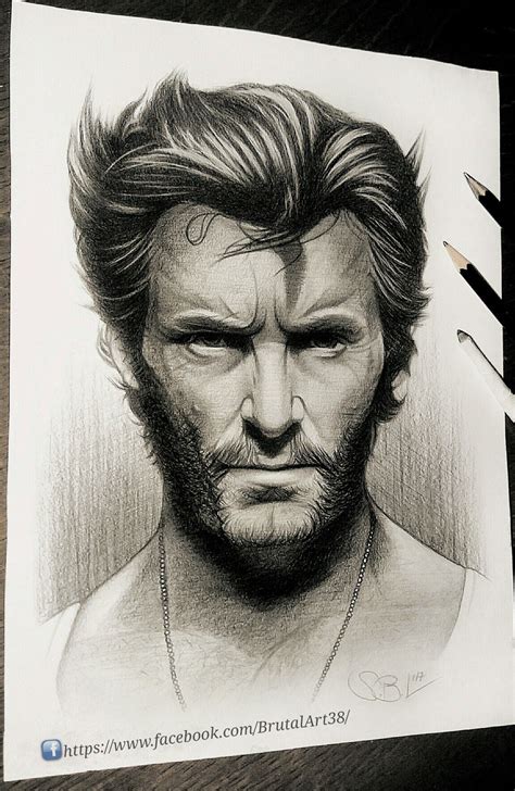 Wolverinesketch Wolverine Art Portrait Drawing Realistic Animal