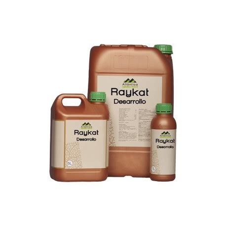 RAYKAT DESARROLLO