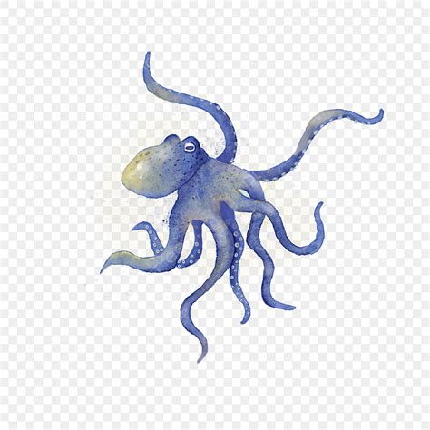 Marine Life Png Picture Watercolor Marine Life Octopus Blue