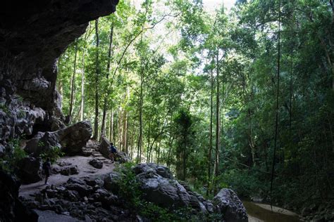 Grupo de Expertos de Evaluación de la Lista Verde Selva Maya adaptan el