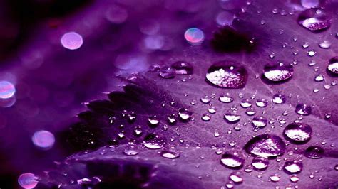 Discover 82 Purple Rain Wallpaper Super Hot In Cdgdbentre