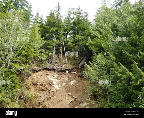 Landslide damage hi-res stock photography and images - Alamy