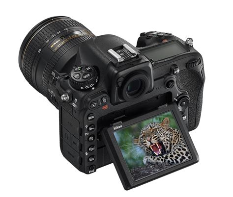 Nikon D500 Dx Formátumú D Slr A KoncentrÁlt TeljesÍtmÉny Vagyok