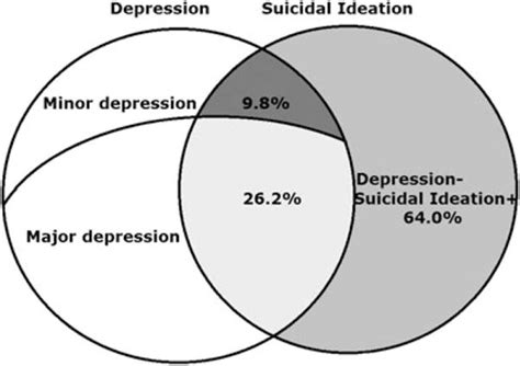 Predictors Of Suicidal Ideation In Korean American Older Adults