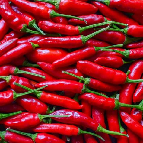 Hot Pepper Seeds Vegetable Seeds Variety 009 Rooted Retreat