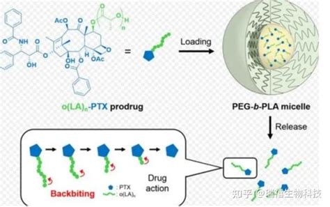 Pla Peg Ohplapeg123344510k聚乳酸 聚乙二醇 羟基 知乎