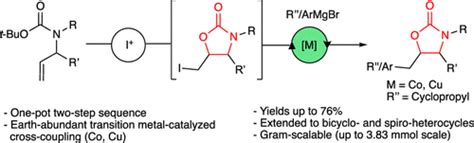 A One Pot Iodo Cyclization Transition Metal Catalyzed Cross Coupling