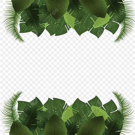 Green Leaf Banner PNG Transparent, Summer Green Leaf Banner, Summer, Leaf, Border PNG Image For ...