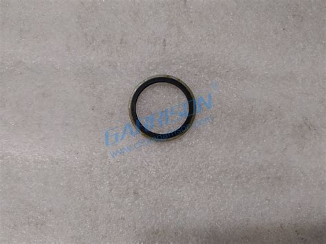 Sinotruk Howo Heavy Duty Machinery Spare Part Washer