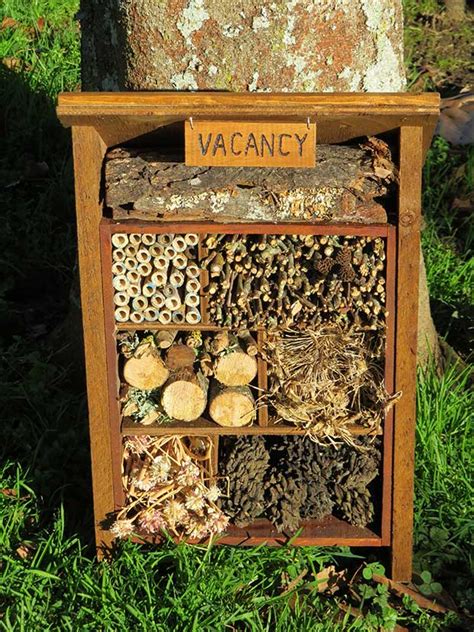 Diy Project Build A Bug Hotel To Attract Beneficial Insects