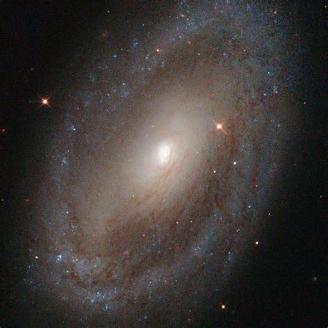 Jean-Baptiste Faure: Spiral Seyfert Galaxy NGC 3185