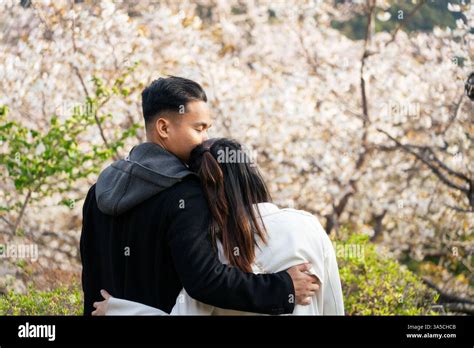Loving Blossoms - Romantic Moment Under Cherry Blossoms – A Couple Embracing Love Amidst ...
