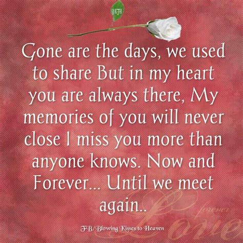 Until We Meet Again Quotes. QuotesGram