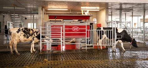 Robotic Milking South Australia Lely Dealer For Milk Robots