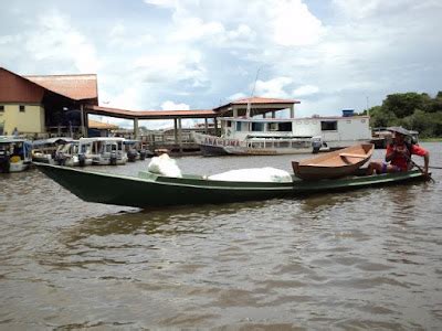 Olhando Da Janela Do Trem Vit Ria Do Xingu Par Brazil