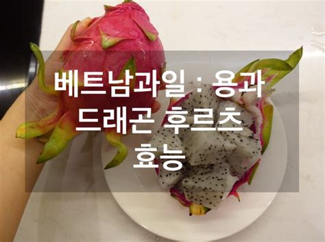 베트남 과일 용과 龍果 드래곤 후르츠 맛은 칼로리 효능 맛있는 용과 고르는법 And 자르는법 네이버 블로그