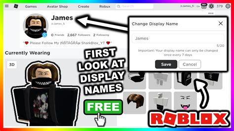 Roblox Display Name Ideas