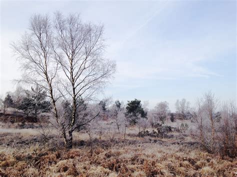Habitat Creation & Enhancement | South Downs Ecoscapes