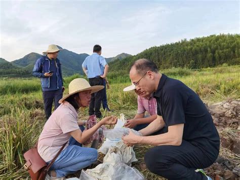 福建省第三次全国土壤普查