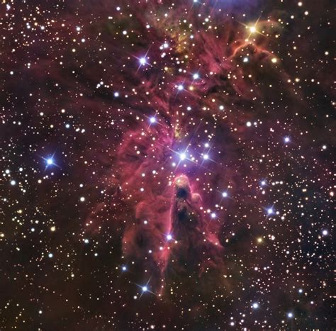 Billions and Billions - The Christmas Tree Cluster, Fox Fur Nebula and...