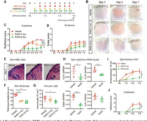 PDF Resolvin D3 Controls Mouse And Human TRPV1 Positive Neurons And