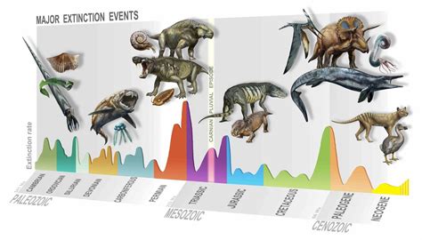 Discovery of a new mass extinction