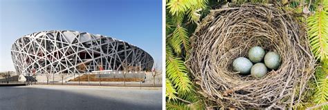 10 Nature Inspired Architectural Masterpieces