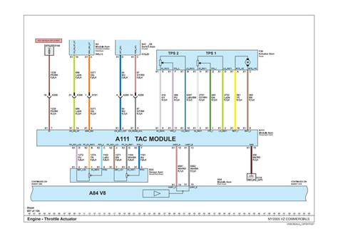 Fly By Wire Pin Out Diagram Just Commodores