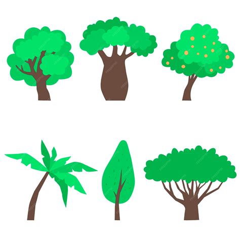 Kapok Tree Clip Art