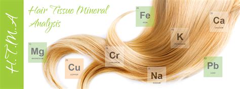 Hair Tissue Mineral Analysis Dr Jane Chapman