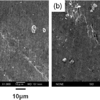 Sem Micrographs Of Fracture Area After Tensile Test At C In The