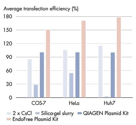 20 50分钟完成1 10mg极低内毒素质粒大提 QIAGEN Plasmid Plus Kits