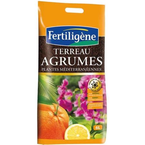 Terreau Agrumes Et Plantes M Diterran Ennes L Leroy Merlin